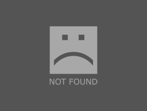 Basswood Standard 27mm Samples, Basswood Standard 27mm Samples